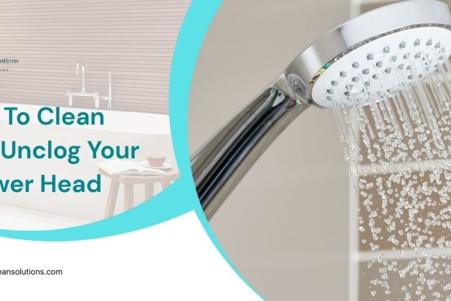 How to Clean Your Shower Head